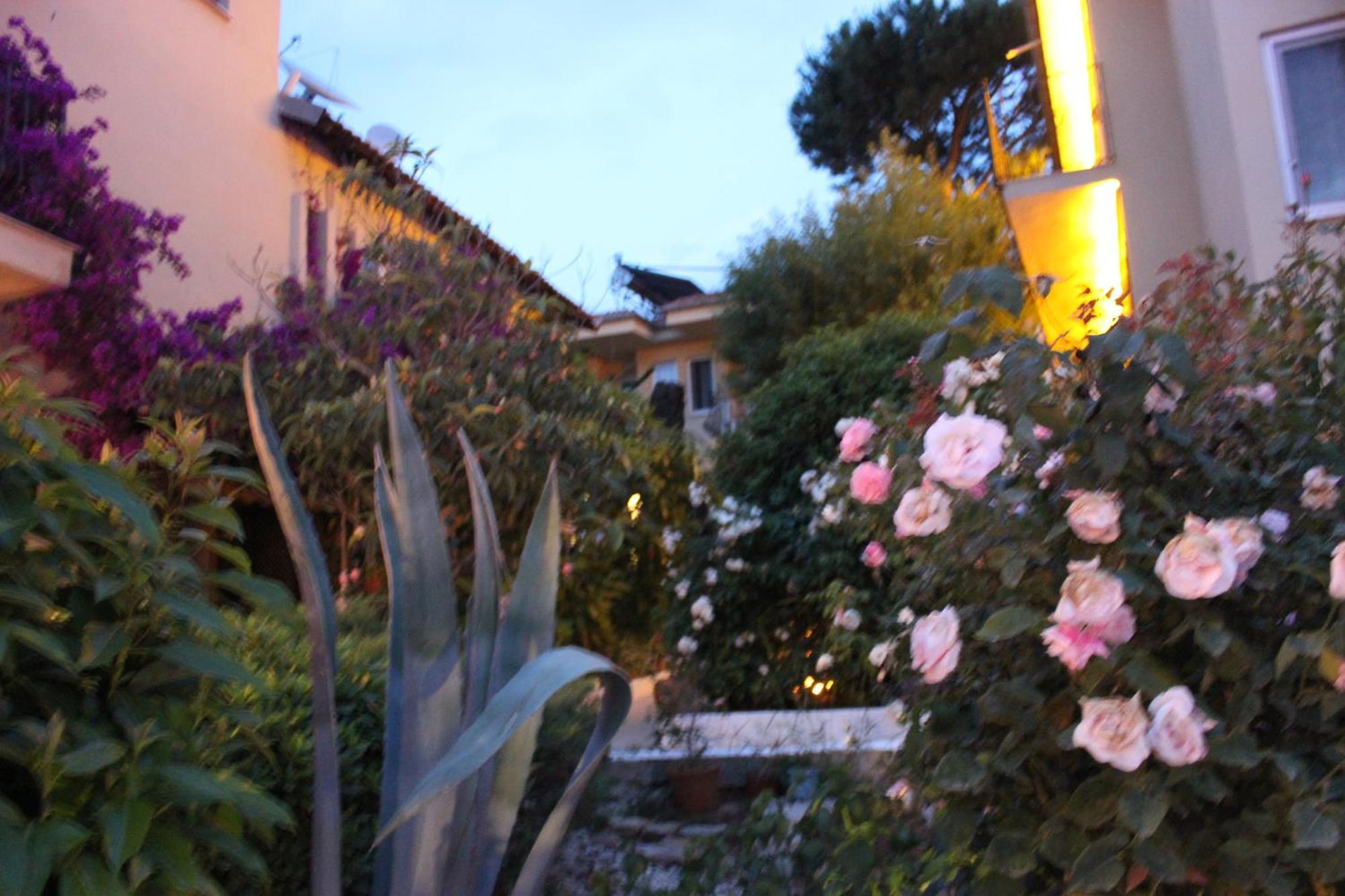 Tunacan Hotel Oludeniz Ngoại thất bức ảnh