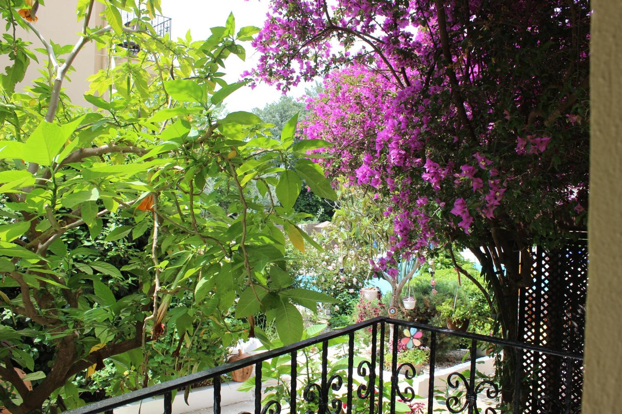 Tunacan Hotel Oludeniz Ngoại thất bức ảnh